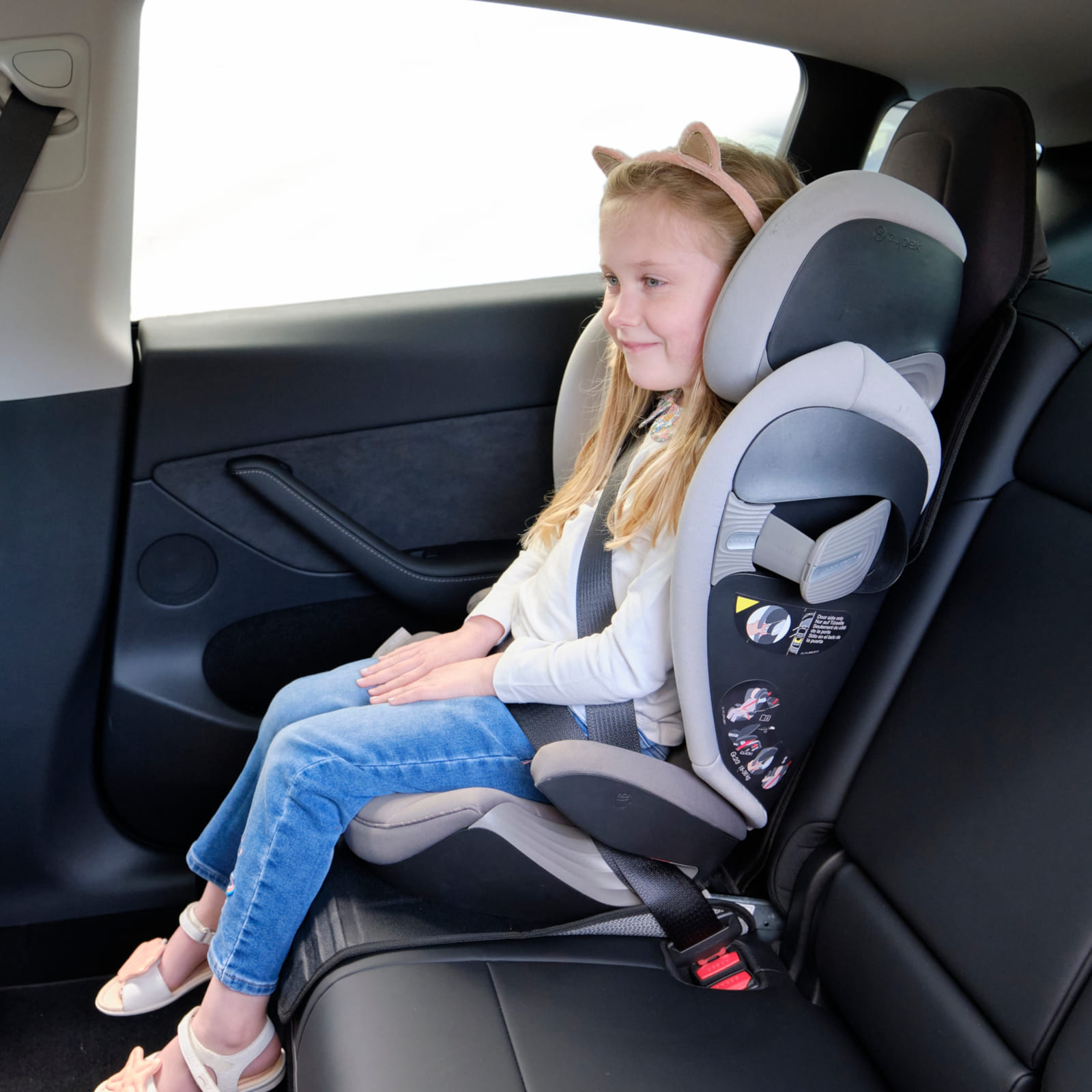 PRINCE LIONHEART Sitzschoner SeatSaver für Teslas schwarz