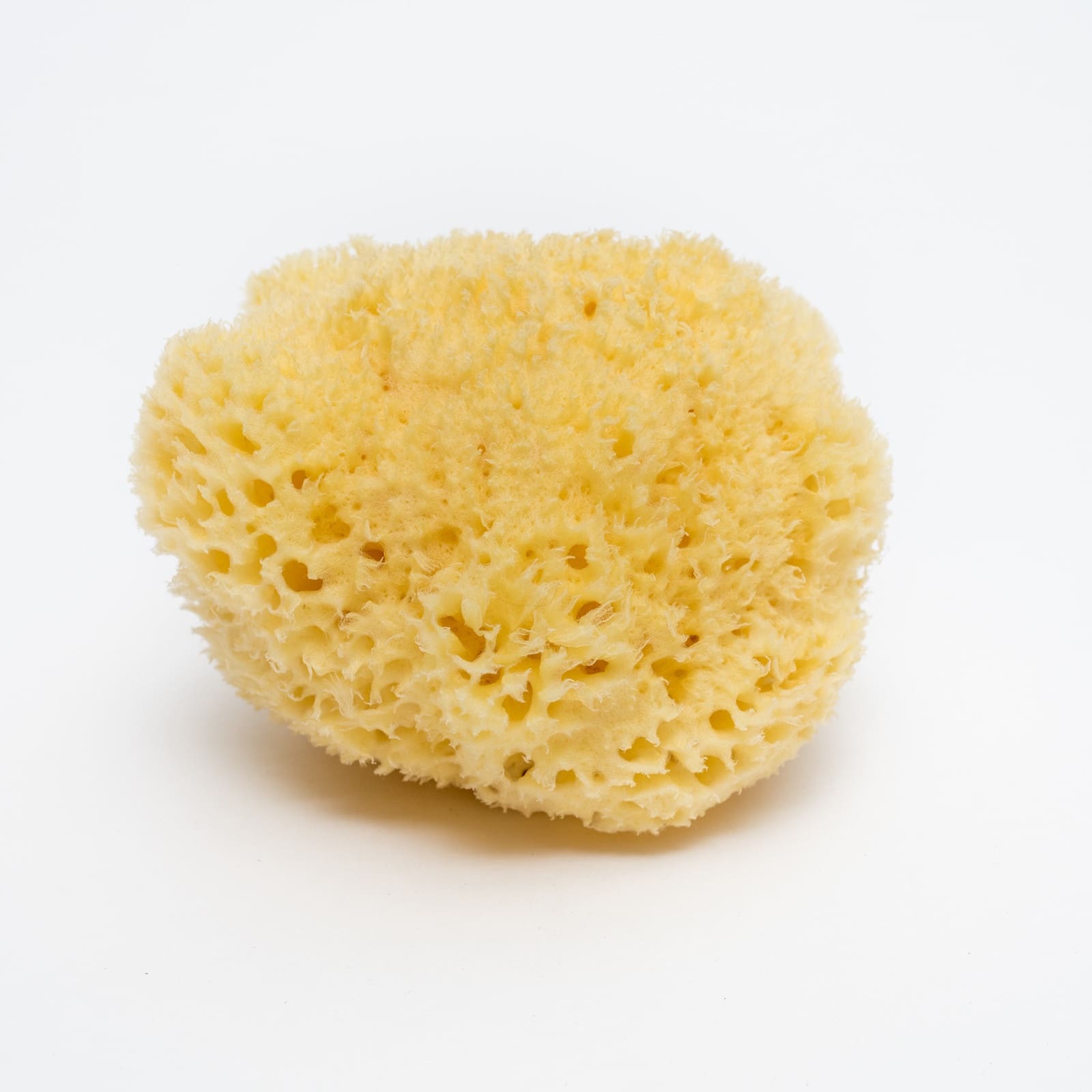 BELLINI Éponge naturelle blanchie Honeycomb No. 12