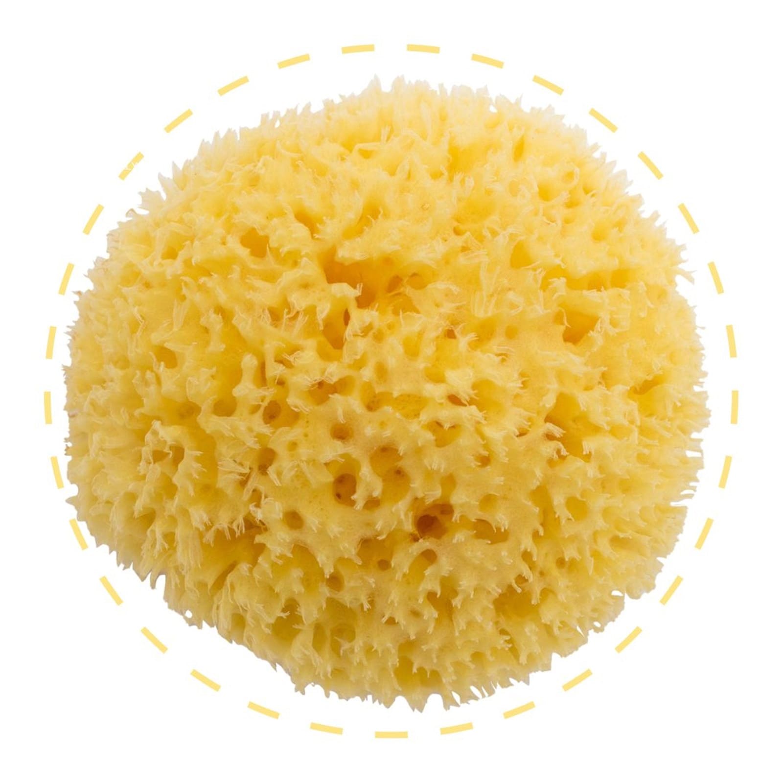 BELLINI Éponge naturelle blanchie Honeycomb No. 10