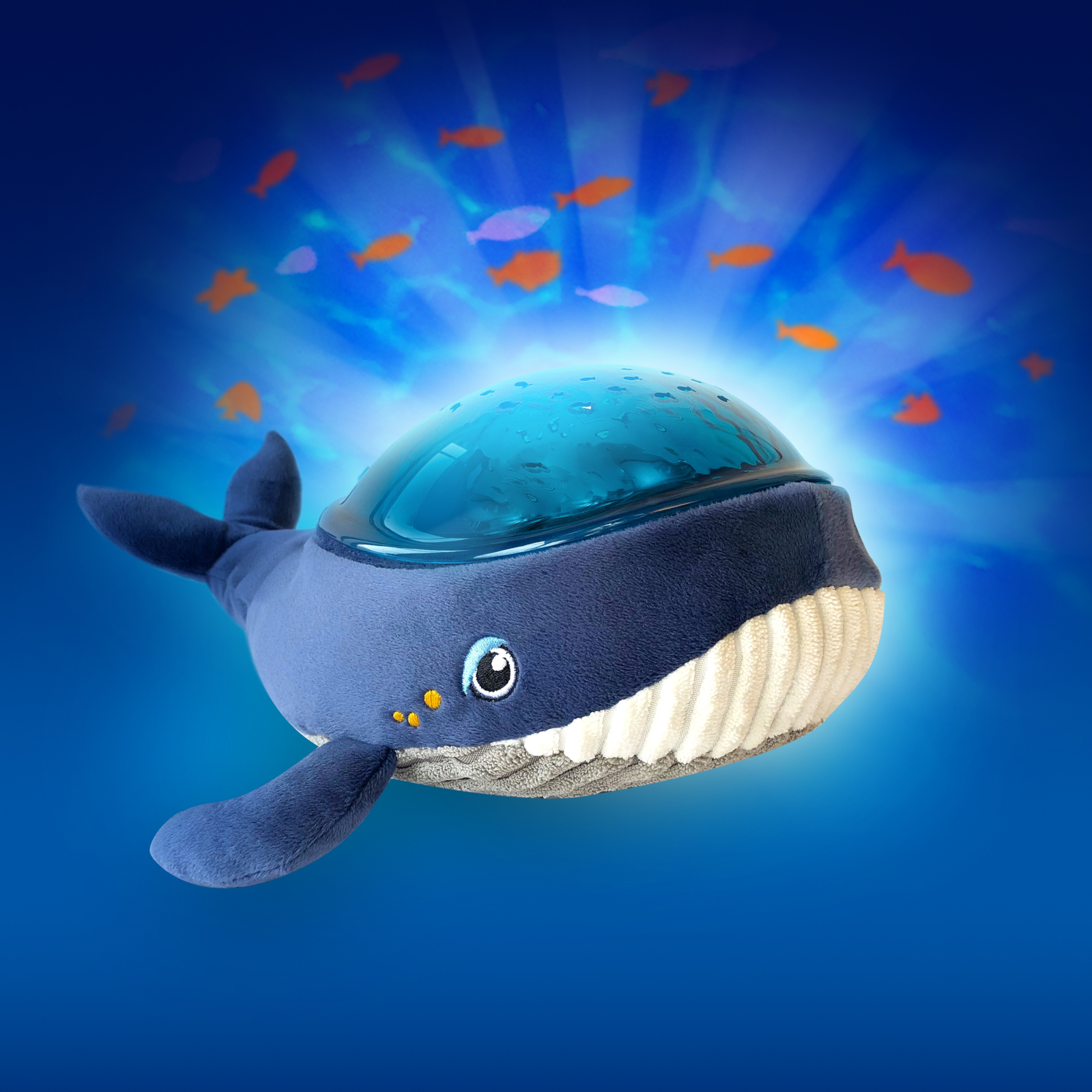 PAAQ01-WHALE-4q_7037_1600x1600